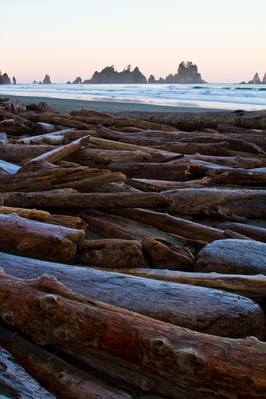 Driftwood On Shi Shi Beach